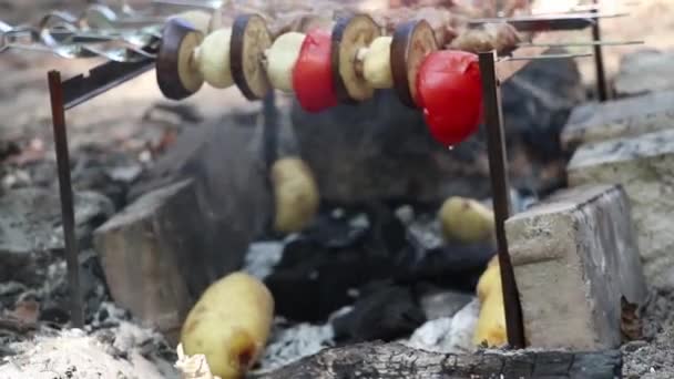 Cogumelos Cogumelos Fritos Tomates Com Berinjela Espetos Sobre Fogo Floresta — Vídeo de Stock