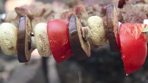 Cogumelos Cogumelos Fritos Tomates Com Berinjela Espetos Sobre Fogo Floresta — Vídeo de Stock