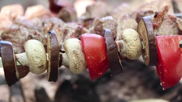 Gebratene Champignons Und Tomaten Mit Auberginen Spieß Über Dem Feuer — Stockvideo