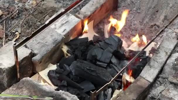 Hoguera Con Leña Bosque Llama Fuego Una Fogata Picnic Fuego — Vídeos de Stock