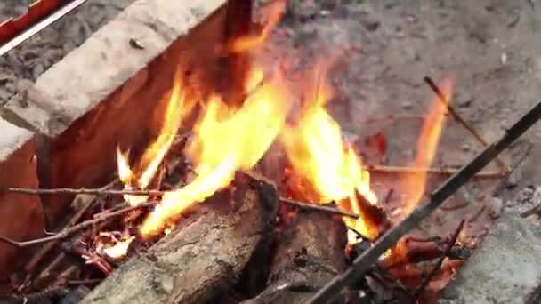 Fogueira Com Lenha Floresta Chama Fogo Uma Fogueira Piquenique Fogo — Vídeo de Stock