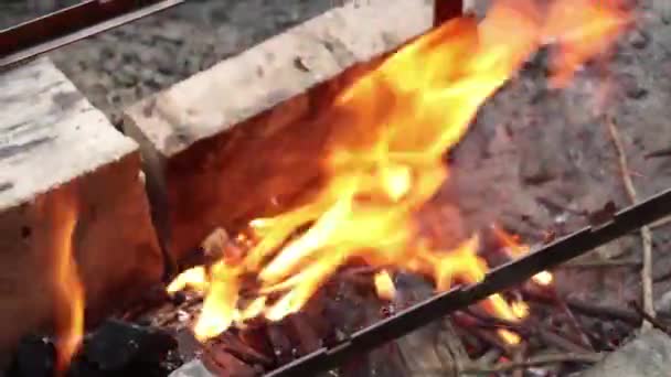 Fogueira Com Lenha Floresta Chama Fogo Uma Fogueira Piquenique Fogo — Vídeo de Stock