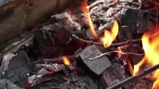 Hoguera Con Leña Bosque Llama Fuego Una Fogata Picnic Fuego — Vídeo de stock