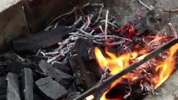 Táborák Palivovým Dřívím Lese Požár Ohně Táborovém Ohni Pikniku Oheň — Stock video