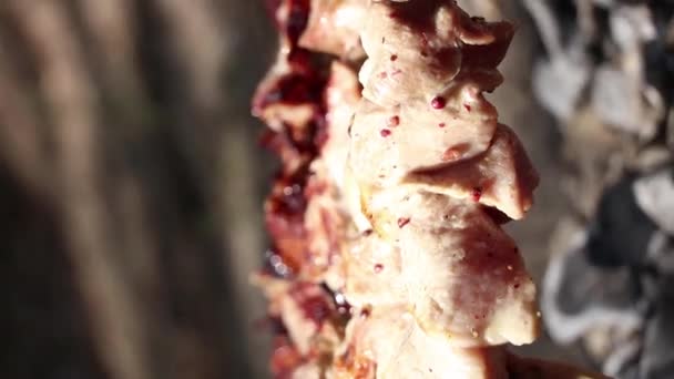 Kebab Shish Com Legumes Assados Sobre Fogo Carne Frita Com — Vídeo de Stock