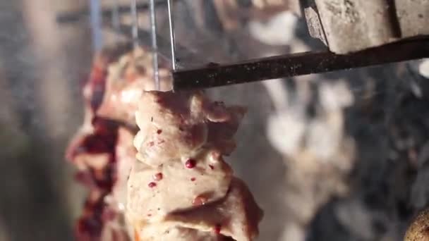 Kebab Shish Com Legumes Assados Sobre Fogo Carne Frita Com — Vídeo de Stock