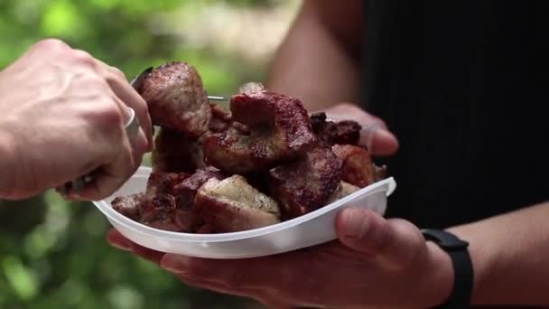 Kebab Shish Frit Sera Disposé Sur Une Assiette Plastique Dans — Video