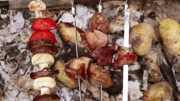 切碎的烤面包 蔬菜烤火 油炸肉和蔬菜在森林里的火上度假 — 图库视频影像