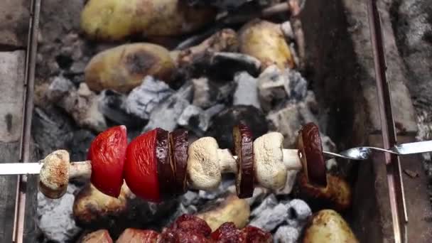 Cogumelos Cogumelos Fritos Tomates Com Berinjela Espetos Sobre Fogo Floresta — Vídeo de Stock