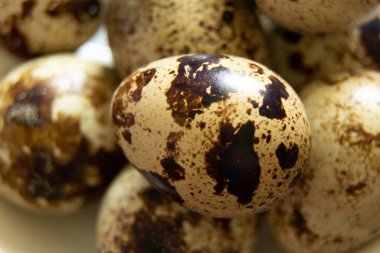 Bıldırcın yumurtası, bıldırcın yumurtası, makro fotoğraf.