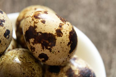 Bıldırcın yumurtası, bıldırcın yumurtası, makro fotoğraf.