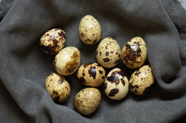 Bıldırcın yumurtaları yakın plan gri arka plan, bıldırcın yumurtaları makro fotoğraf.