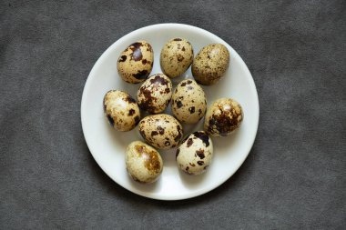 Bıldırcın yumurtaları yakın plan gri arka plan, bıldırcın yumurtaları makro fotoğraf.