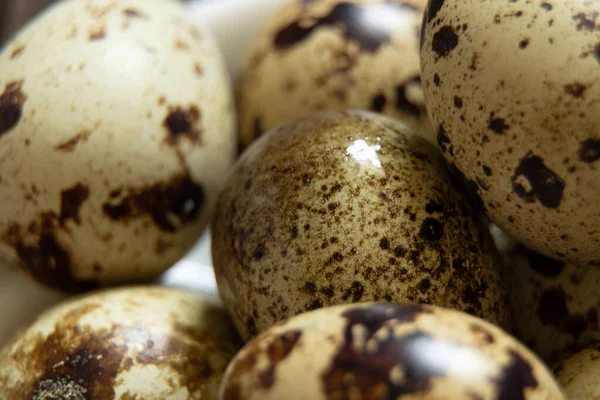 Перепелиные Яйца Крупным Планом Перепелиные Яйца Макрофото — стоковое фото