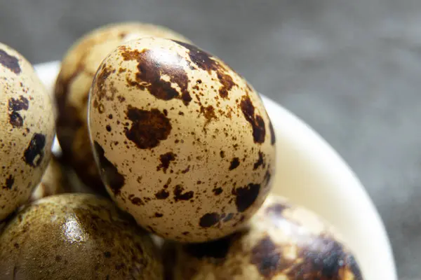 Bıldırcın yumurtası, bıldırcın yumurtası, makro fotoğraf.