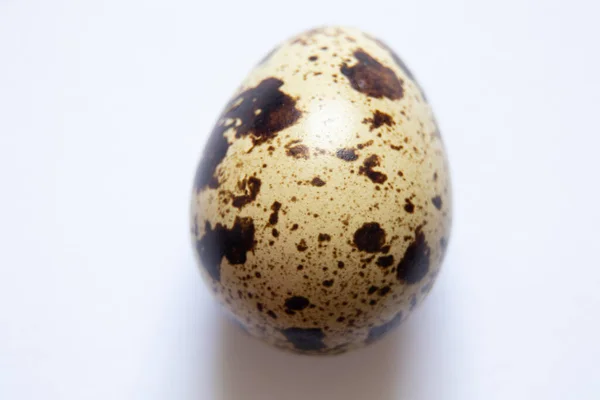 Quail Eggs Close Quail Eggs Macro Photo — Stock Photo, Image