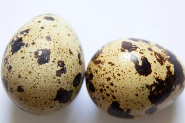 Quail Eggs Close Quail Eggs Macro Photo — Stock Photo, Image