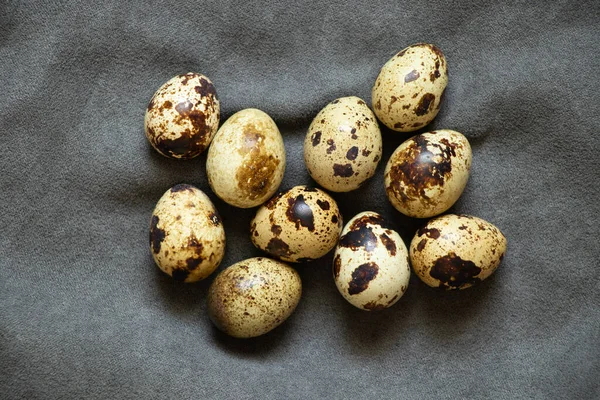 Перепелиные Яйца Крупным Планом Сером Фоне Перепелиные Яйца Макрофото — стоковое фото