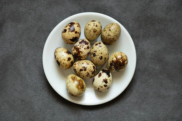 Bıldırcın yumurtaları yakın plan gri arka plan, bıldırcın yumurtaları makro fotoğraf.