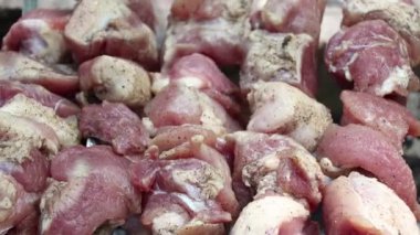 Sebzeli şiş kebap ateşte kızartılmış et, sebzeli kızarmış et tatilde ormanda ateşin üstünde.