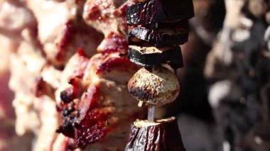 Kızarmış sebze ve ateşte et, ormanda barbekü, et.