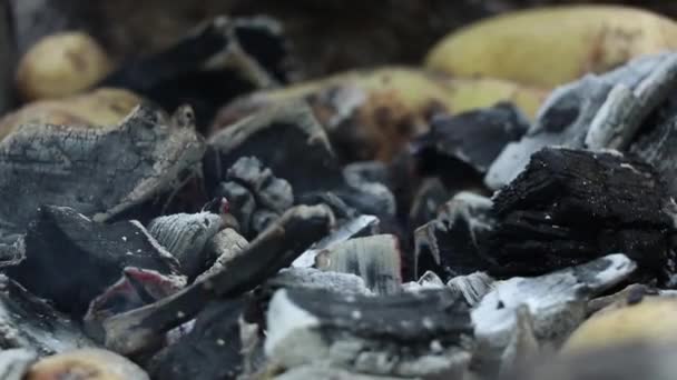 Las Patatas Cocidas Sobre Carbón Sobre Fuego Las Patatas Fritas — Vídeo de stock