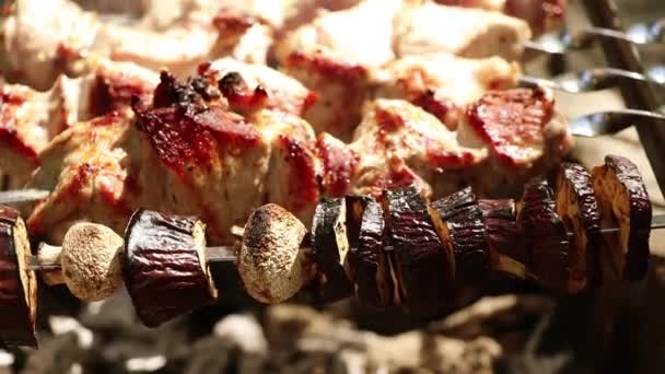 Légumes Frits Viande Feu Barbecue Feu Dans Forêt Viande — Video