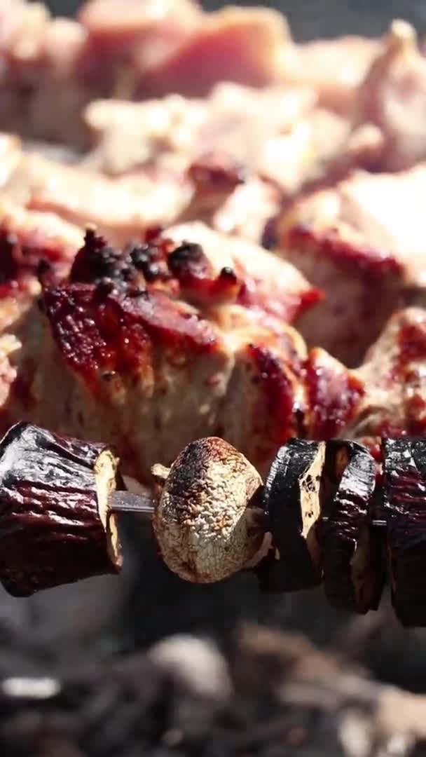 Verdure Fritte Carne Sul Fuoco Barbecue Fiamme Nella Foresta Carne — Video Stock