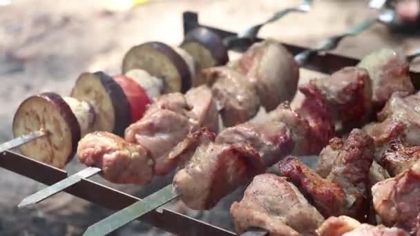 切碎的烤面包 蔬菜烤火 油炸肉和蔬菜在森林里的火上度假 — 图库视频影像