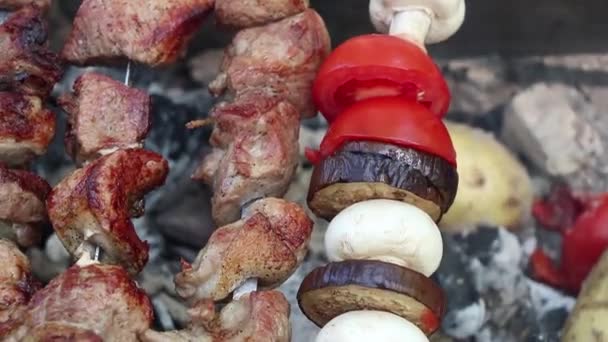 Kebab Shish Com Legumes Assados Sobre Fogo Carne Frita Com — Vídeo de Stock