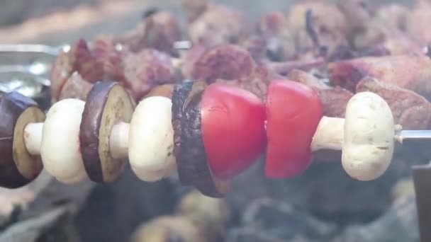 Funghi Fungo Fritti Pomodori Con Melanzane Spiedi Sopra Fuoco Nella — Video Stock