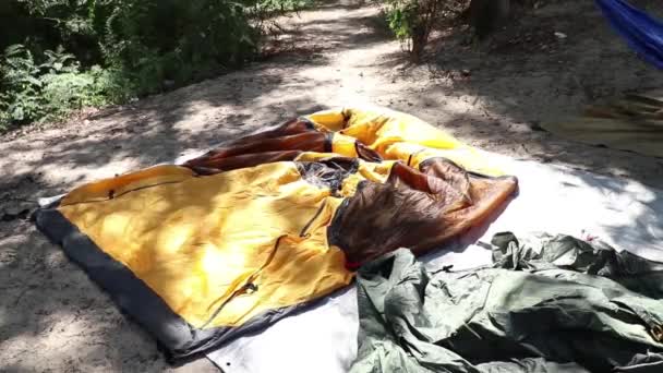 Hombre Recoge Tienda Bosque Verano Sol Camping Creación Una Tienda — Vídeos de Stock