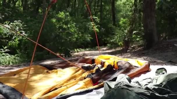 Hombre Recoge Tienda Bosque Verano Sol Camping Creación Una Tienda — Vídeo de stock