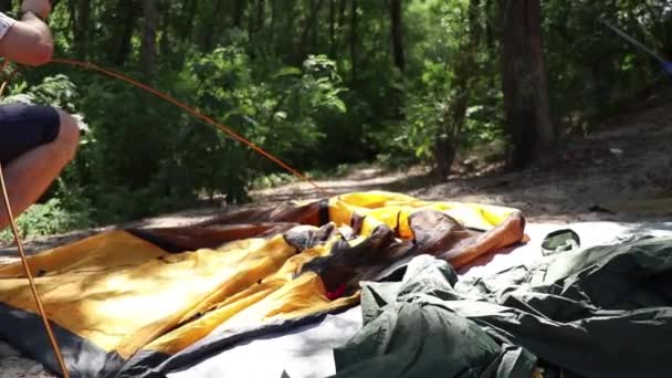 Hombre Recoge Tienda Bosque Verano Sol Camping Creación Una Tienda — Vídeos de Stock