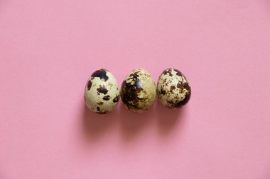 Arka planda bıldırcın yumurtaları, bıldırcın yumurtaları makro fotoğraf.