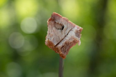 Ormanın yeşil arka planında kızarmış domuz şişleri, kızarmış şişler, düğümlerde et.