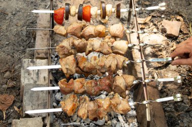 Ormanda ateşte kızartılmış şiş kebap şiş kebap, şiş kebap, et.