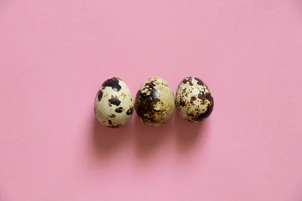 Перепелиные Яйца Крупным Планом Изолированном Фоне Перепелиные Яйца Макрофото — стоковое фото