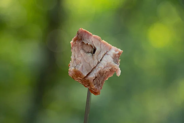 Смажені Свинячі Шампури Ножі Зеленому Тлі Лісі Смажені Шампури Ясо — стокове фото