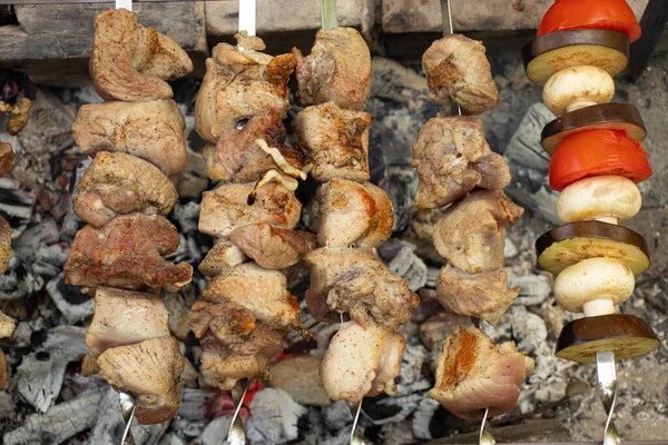 Spiedino Fritto Shish Fuoco Nella Foresta Picnic Spiedini Spiedino Arrosto — Foto Stock