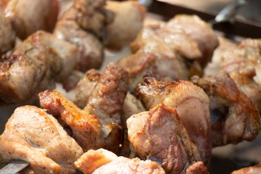 Ormanda ateşte kızartılmış şiş kebap şiş kebap, şiş kebap, et.