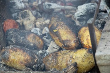 Doğada ateşte pişmiş patates, kömürde patates, patatesler.