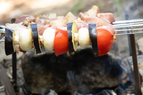 Smażone Grzyby Pomidory Bakłażanem Szaszłykach Nad Kominkiem Lesie Smażone Warzywa — Zdjęcie stockowe