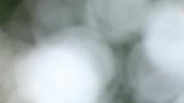 Sokağın ortasındaki güneş ışınlarının odaklanmış arka planı, arka plan bokeh, güneş ışığının bulanıklığı ve güneş ışığının parlaklığı.
