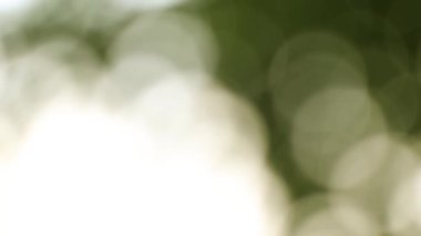 Sokağın arka planındaki güneş ışınlarının odaklanamaması, arka plan bokeh, güneş ışığının bulanıklaşması ve güneş ışığı, arka plan.