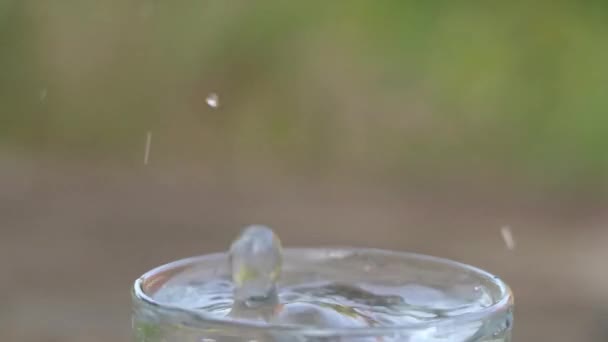 Wassertropfen Fallen Ein Glas Wasser Wasser Ein Glas Wassertropfen — Stockvideo