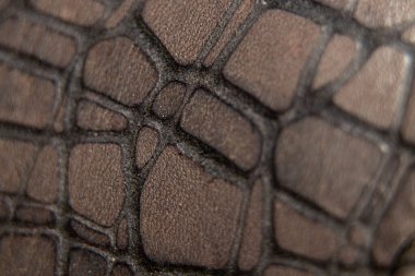 Arka plan olarak gri şarap rengi kabartmalı piton derisi, deri arka plan, arka plan olarak yılan derisi, derinin makro fotoğrafı.