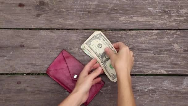 Mano Femminile Tira Fuori Dollari Dal Portafoglio Conta Uno Sfondo — Video Stock