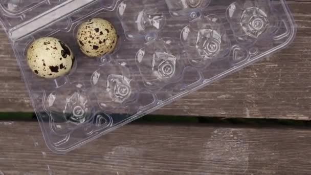 Женская Рука Откладывает Перепелиные Яйца Пластиковую Одноразовую Упаковку Старом Деревянном — стоковое видео