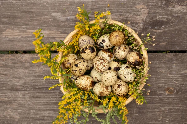 Die Weibliche Hand Legt Wachteleier Einen Strohkorb Auf Einen Holztisch — Stockfoto